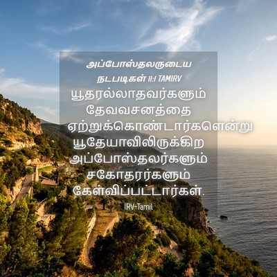 Picture 04 - அப்போஸ்தலருடைய நடபடிகள் 11:1 TAMIRV -  - Bible Verse Picture