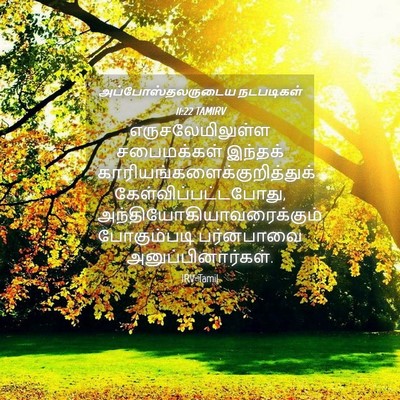 Picture 04 - அப்போஸ்தலருடைய நடபடிகள் 11:22 TAMIRV - எருசலேமிலுள்ள - Bible Verse Picture