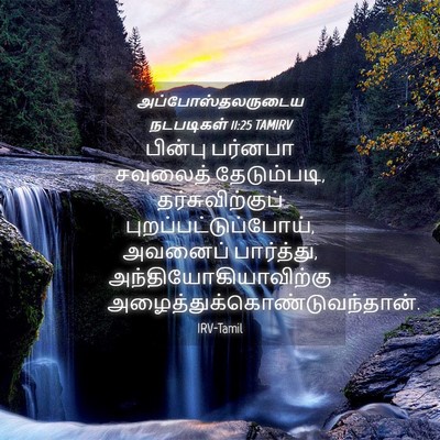 Picture 04 - அப்போஸ்தலருடைய நடபடிகள் 11:25 TAMIRV - பின்பு பர்னபா - Bible Verse Picture