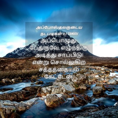 Picture 04 - அப்போஸ்தலருடைய நடபடிகள் 11:7 TAMIRV - அப்பொழுது: - Bible Verse Picture