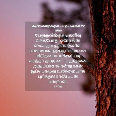 Picture 04 - அப்போஸ்தலருடைய நடபடிகள் 12:11 TAMIRV - பேதுருவிற்குத் - Bible Verse Picture