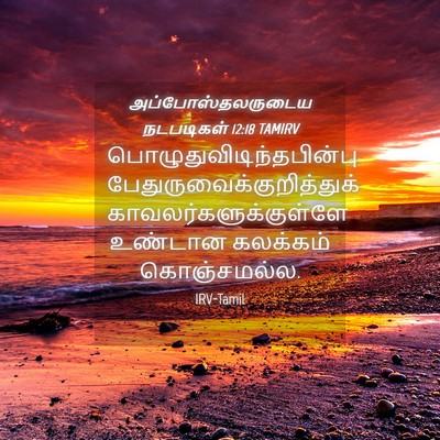 Picture 04 - அப்போஸ்தலருடைய நடபடிகள் 12:18 TAMIRV -  - Bible Verse Picture