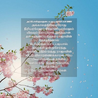 Picture 04 - அப்போஸ்தலருடைய நடபடிகள் 12:20 TAMIRV - அக்காலத்திலே - Bible Verse Picture