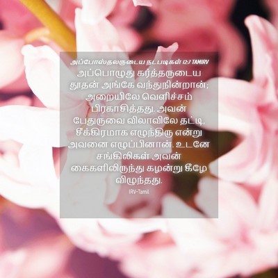 Picture 04 - அப்போஸ்தலருடைய நடபடிகள் 12:7 TAMIRV - அப்பொழுது - Bible Verse Picture