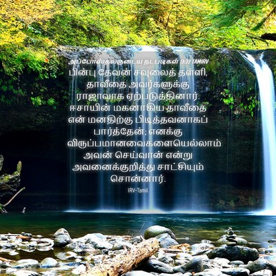 Picture 04 - அப்போஸ்தலருடைய நடபடிகள் 13:22 TAMIRV - பின்பு தேவன் - Bible Verse Picture