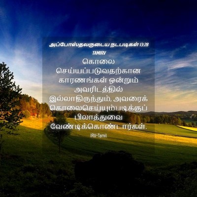 Picture 04 - அப்போஸ்தலருடைய நடபடிகள் 13:28 TAMIRV - கொலை - Bible Verse Picture