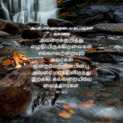Picture 04 - அப்போஸ்தலருடைய நடபடிகள் 13:29 TAMIRV - அவரைக்குறித்து - Bible Verse Picture