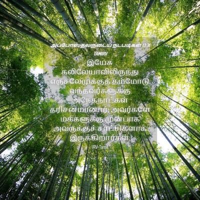 Picture 04 - அப்போஸ்தலருடைய நடபடிகள் 13:31 TAMIRV - இயேசு - Bible Verse Picture