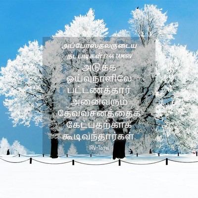 Picture 04 - அப்போஸ்தலருடைய நடபடிகள் 13:44 TAMIRV - அடுத்த - Bible Verse Picture