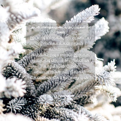 Picture 04 - அப்போஸ்தலருடைய நடபடிகள் 15:10 TAMIRV - இப்படியிருக்க, - Bible Verse Picture