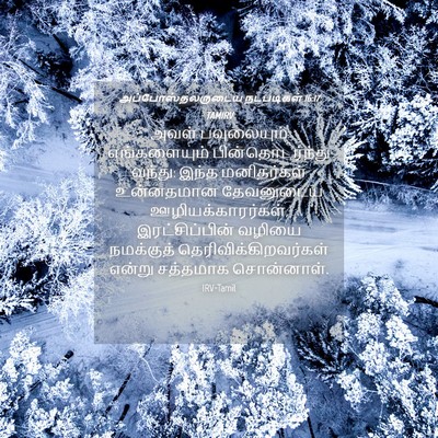 Picture 04 - அப்போஸ்தலருடைய நடபடிகள் 16:17 TAMIRV - அவள் பவுலையும் - Bible Verse Picture