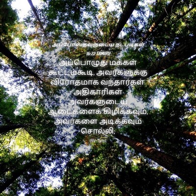 Picture 04 - அப்போஸ்தலருடைய நடபடிகள் 16:22 TAMIRV - அப்பொழுது மக்கள் - Bible Verse Picture