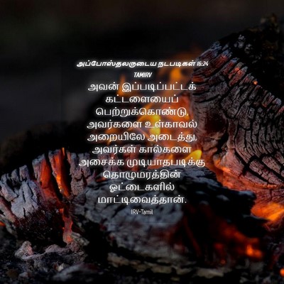 Picture 04 - அப்போஸ்தலருடைய நடபடிகள் 16:24 TAMIRV - அவன் - Bible Verse Picture