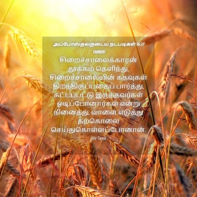 Picture 04 - அப்போஸ்தலருடைய நடபடிகள் 16:27 TAMIRV -  - Bible Verse Picture