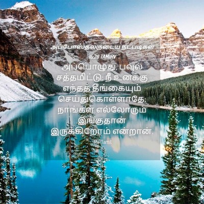 Picture 04 - அப்போஸ்தலருடைய நடபடிகள் 16:28 TAMIRV - அப்பொழுது, பவுல் - Bible Verse Picture