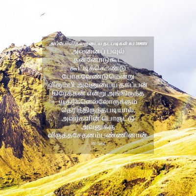 Picture 04 - அப்போஸ்தலருடைய நடபடிகள் 16:3 TAMIRV - அவனைப் பவுல் - Bible Verse Picture