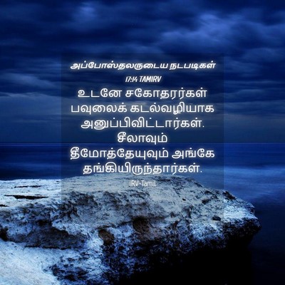 Picture 04 - அப்போஸ்தலருடைய நடபடிகள் 17:14 TAMIRV - உடனே சகோதரர்கள் - Bible Verse Picture