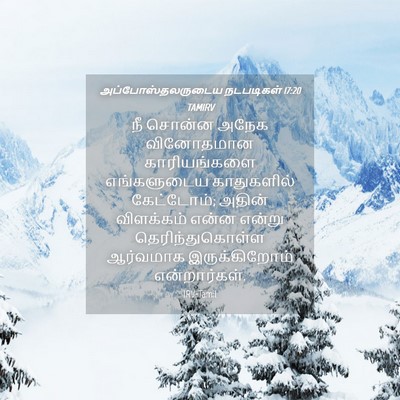 Picture 04 - அப்போஸ்தலருடைய நடபடிகள் 17:20 TAMIRV - நீ சொன்ன அநேக - Bible Verse Picture