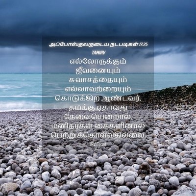 Picture 04 - அப்போஸ்தலருடைய நடபடிகள் 17:25 TAMIRV - எல்லோருக்கும் - Bible Verse Picture