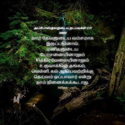 Picture 04 - அப்போஸ்தலருடைய நடபடிகள் 17:29 TAMIRV - நாம் தேவனுடைய - Bible Verse Picture
