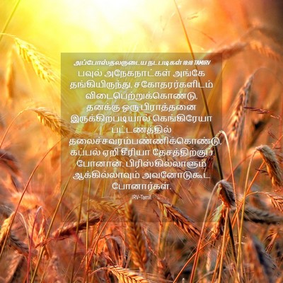 Picture 04 - அப்போஸ்தலருடைய நடபடிகள் 18:18 TAMIRV - பவுல் அநேகநாட்கள் - Bible Verse Picture