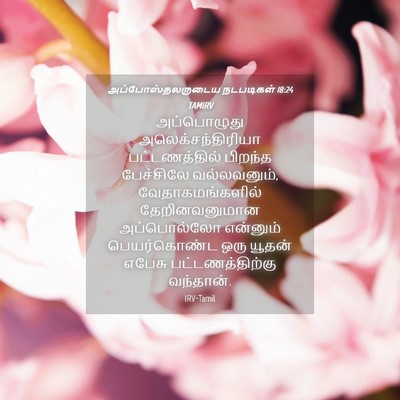 Picture 04 - அப்போஸ்தலருடைய நடபடிகள் 18:24 TAMIRV - அப்பொழுது - Bible Verse Picture