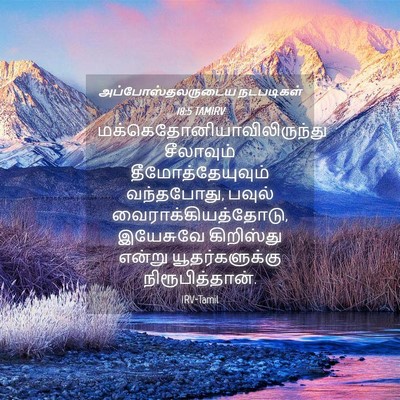 Picture 04 - அப்போஸ்தலருடைய நடபடிகள் 18:5 TAMIRV -  - Bible Verse Picture