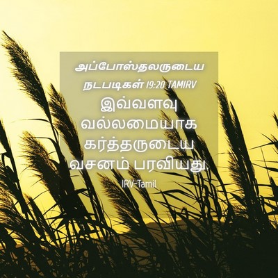 Picture 04 - அப்போஸ்தலருடைய நடபடிகள் 19:20 TAMIRV - இவ்வளவு வல்லமையாக - Bible Verse Picture