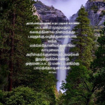 Picture 04 - அப்போஸ்தலருடைய நடபடிகள் 19:29 TAMIRV - பட்டணம் முழுவதும் - Bible Verse Picture