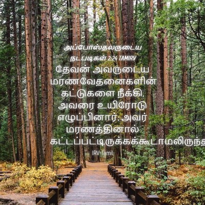 Picture 04 - அப்போஸ்தலருடைய நடபடிகள் 2:24 TAMIRV - தேவன் அவருடைய - Bible Verse Picture