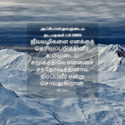 Picture 04 - அப்போஸ்தலருடைய நடபடிகள் 2:28 TAMIRV - ஜீவவழிகளை - Bible Verse Picture