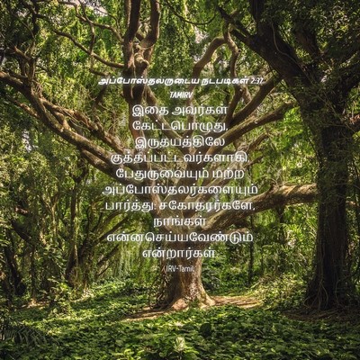 Picture 04 - அப்போஸ்தலருடைய நடபடிகள் 2:37 TAMIRV - இதை அவர்கள் - Bible Verse Picture