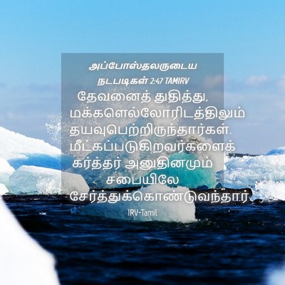 Picture 04 - அப்போஸ்தலருடைய நடபடிகள் 2:47 TAMIRV - தேவனைத் துதித்து, - Bible Verse Picture