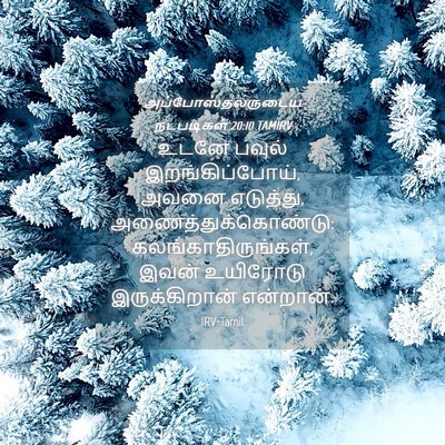Picture 04 - அப்போஸ்தலருடைய நடபடிகள் 20:10 TAMIRV - உடனே பவுல் - Bible Verse Picture