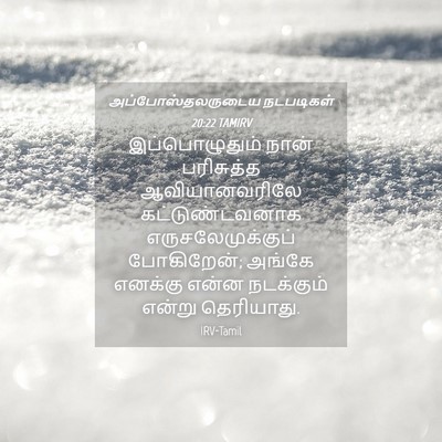 Picture 04 - அப்போஸ்தலருடைய நடபடிகள் 20:22 TAMIRV - இப்பொழுதும் நான் - Bible Verse Picture