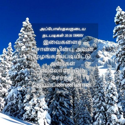 Picture 04 - அப்போஸ்தலருடைய நடபடிகள் 20:36 TAMIRV - இவைகளைச் - Bible Verse Picture