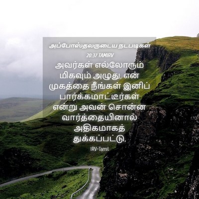 Picture 04 - அப்போஸ்தலருடைய நடபடிகள் 20:37 TAMIRV - அவர்கள் எல்லோரும் - Bible Verse Picture