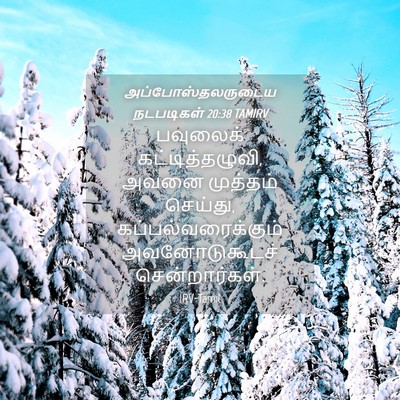 Picture 04 - அப்போஸ்தலருடைய நடபடிகள் 20:38 TAMIRV - பவுலைக் - Bible Verse Picture