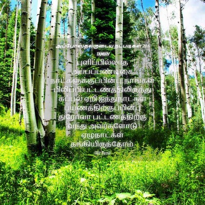 Picture 04 - அப்போஸ்தலருடைய நடபடிகள் 20:6 TAMIRV - புளிப்பில்லாத - Bible Verse Picture