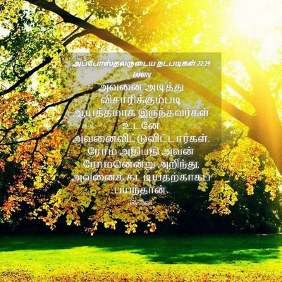 Picture 04 - அப்போஸ்தலருடைய நடபடிகள் 22:29 TAMIRV - அவனை அடித்து - Bible Verse Picture