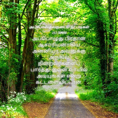 Picture 04 - அப்போஸ்தலருடைய நடபடிகள் 23:2 TAMIRV - அப்பொழுது பிரதான - Bible Verse Picture