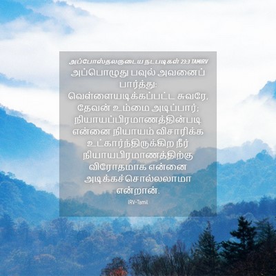 Picture 04 - அப்போஸ்தலருடைய நடபடிகள் 23:3 TAMIRV - அப்பொழுது பவுல் - Bible Verse Picture
