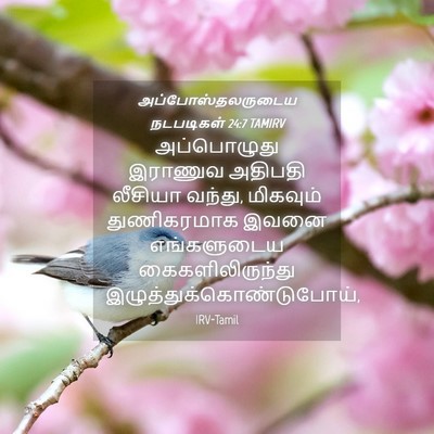 Picture 04 - அப்போஸ்தலருடைய நடபடிகள் 24:7 TAMIRV - அப்பொழுது இராணுவ - Bible Verse Picture