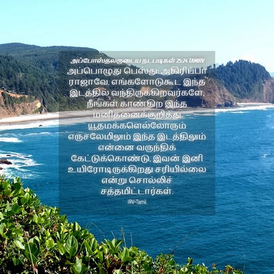 Picture 04 - அப்போஸ்தலருடைய நடபடிகள் 25:24 TAMIRV - அப்பொழுது பெஸ்து: - Bible Verse Picture
