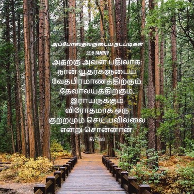 Picture 04 - அப்போஸ்தலருடைய நடபடிகள் 25:8 TAMIRV - அதற்கு அவன் - Bible Verse Picture
