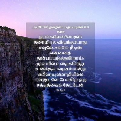 Picture 04 - அப்போஸ்தலருடைய நடபடிகள் 26:14 TAMIRV - நாங்களெல்லோரும் - Bible Verse Picture