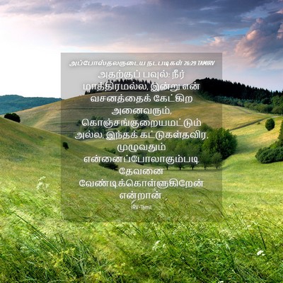 Picture 04 - அப்போஸ்தலருடைய நடபடிகள் 26:29 TAMIRV - அதற்குப் பவுல்: - Bible Verse Picture