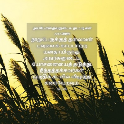 Picture 04 - அப்போஸ்தலருடைய நடபடிகள் 27:43 TAMIRV - நூறுபேருக்குத் - Bible Verse Picture