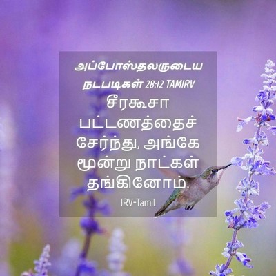 Picture 04 - அப்போஸ்தலருடைய நடபடிகள் 28:12 TAMIRV - சீரகூசா - Bible Verse Picture