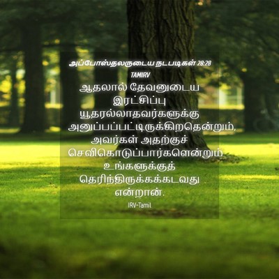 Picture 04 - அப்போஸ்தலருடைய நடபடிகள் 28:28 TAMIRV - ஆதலால் தேவனுடைய - Bible Verse Picture